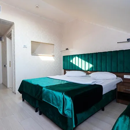 Otel Merty 3*